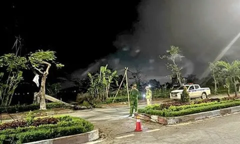 Vướng vào dây cáp sà xuống đường, nguyên Chủ tịch xã tử vong