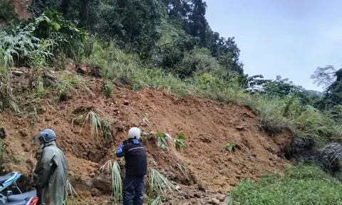 Quảng Ngãi chủ động ứng phó bão Fengshen, sẵn sàng phương án di dời dân