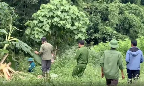 Người đàn ông chết ở bìa rừng, cạnh dấu chân nghi là voi