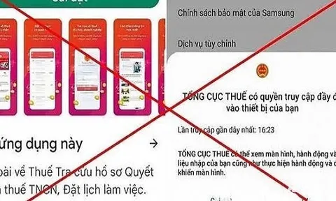 Truy cập “liên kết thuế" giả, một người ở Gia Lai mất hơn 1,28 tỉ đồng