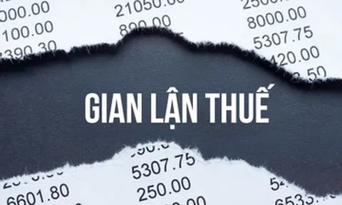 Doanh nhân Hà Thành trốn thuế tiền tỷ bị ‘sờ gáy’