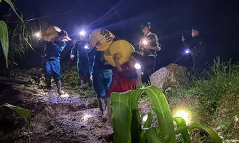 Vết nứt dài 50m khiến hàng loạt hộ dân phải di dời trong đêm