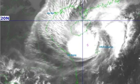Bão số 12 cách Đà Nẵng 280km, từ trưa nay miền Trung bắt đầu mưa lớn dữ dội
