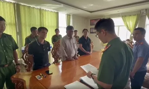 Bắt Tổng giám đốc Công ty Cáp treo Vũng Tàu vì san lấp biển trái phép
