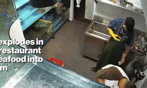 Bể cá khổng lồ vỡ tung, nhà hàng ngập nước và đàn cá sống bơi khắp sàn