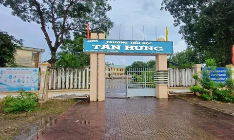 Hiệu trưởng trường tiểu học ở Cà Mau nói về việc bị giáo viên "tố" chèn ép