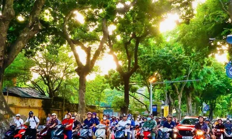 Miền Bắc sắp hửng nắng, miền Trung mưa dữ dội