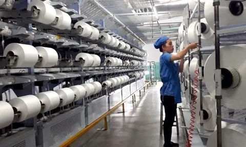 'Cú đấm' của tỷ giá khiến công ty sợi trên sàn giảm 87% lợi nhuận trong quý 3