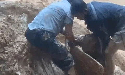 Clip: Thót tim giải cứu nam tài xế bị cuốn xuống vực ở Đà Nẵng