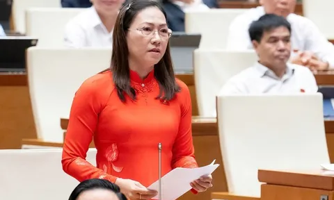 Đại biểu Quốc hội: "Bắt cóc online" là nỗi lo thường trực của nhiều gia đình