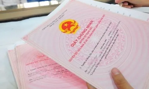 Hiệu ứng "người ngoài cuộc" và lãng phí dũng khí