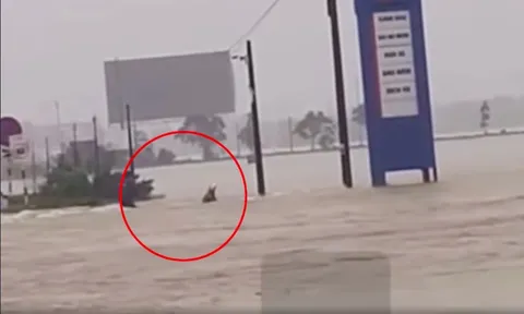 Xót xa khoảnh khắc một người bị nước lũ cuốn trôi ở Huế, tìm cách ứng cứu nhưng không kịp trở tay