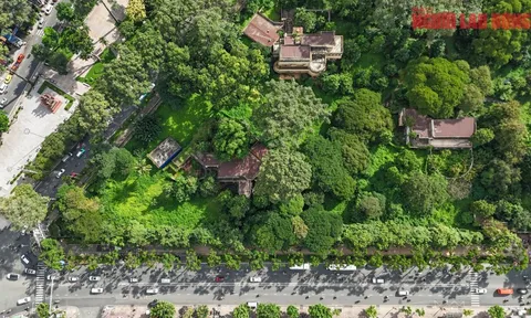 TP HCM: Công viên tại số 1 Lý Thái Tổ phục vụ Tết Nguyên đán 2026