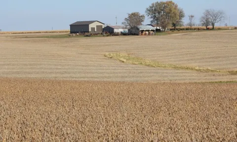 Trung Quốc cam kết mua 75 triệu tấn đậu nành Mỹ trong 3 năm tới