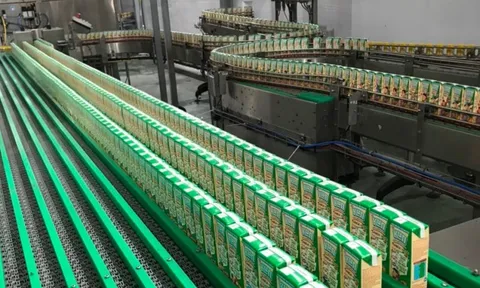 Chủ thương hiệu sữa KUN báo lỗ cả trăm tỉ đồng