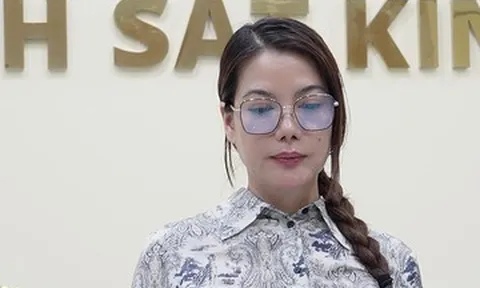 Diễn viên Trương Ngọc Ánh vừa bị bắt tạm giam có thể đối diện mức án nào?