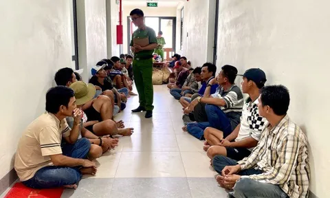 Cà Mau: 41 người cùng sát phạt bằng hình thức đá gà ăn tiền