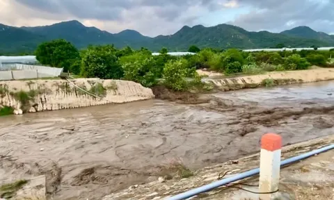 Vỡ hồ chứa nước tại trang trại ở Lâm Đồng, người dân hạ lưu khẩn trương di dời trong đêm