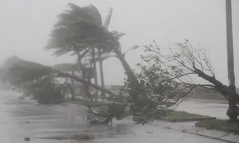 Cơn bão sắp đổ bộ vào đất liền nước ta có cường độ rất mạnh, gây mưa to đến rất to