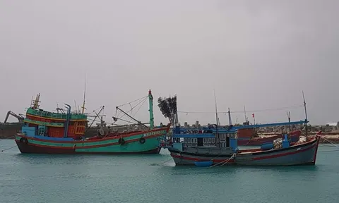 Khánh Hòa: Khẩn trương kêu gọi tàu thuyền tránh trú bão Kalmaegi