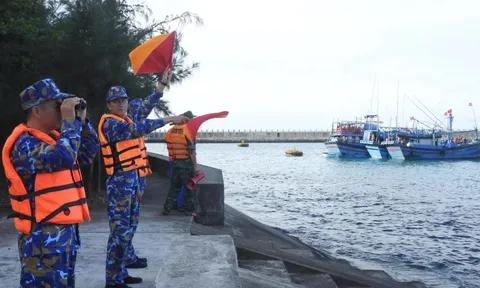 Hình ảnh Khánh Hòa, Gia Lai khẩn trương trước bão Kalmaegi