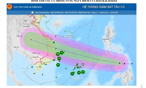 Đắk Lắk: Yêu cầu 24 tàu cá tránh khỏi vùng nguy hiểm của bão Kalmaegi