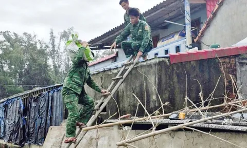 Muôn cách chống bão số 13 Kalmaegi của người dân Quảng Ngãi