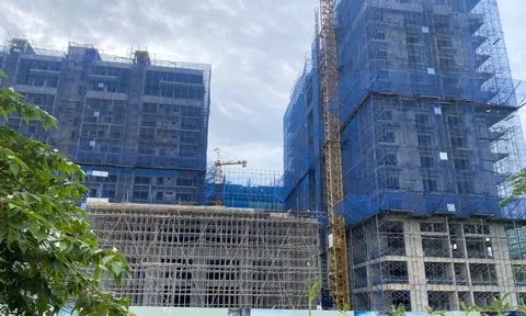 TP HCM: 54 tổ chức được thí điểm nhận đất nông nghiệp làm nhà ở thương mại