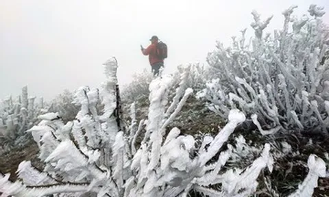 Không khí lạnh mạnh: Miền Bắc có thể xuất hiện sương muối, Trung Bộ mưa lớn