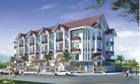 Kiến nghị kiểm tra, xử lý các hành vi vi phạm về đất đai, xây dựng của một dự án ở TP HCM