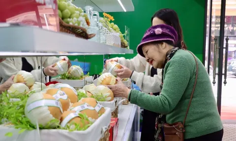 Từ nho sữa, lê Hàn Quốc đến máy ảnh Canon, xe máy Honda đều có hàng giả