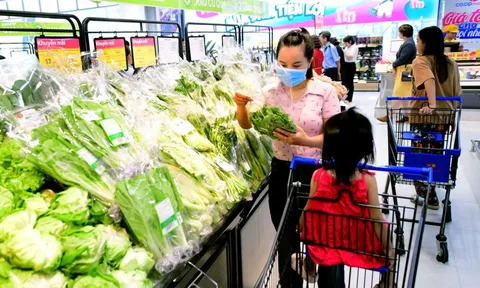 Bình ổn giá rau củ, thực phẩm dù áp lực mưa lũ