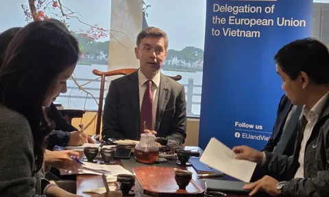 Việt Nam - EU hướng tới nâng cấp quan hệ