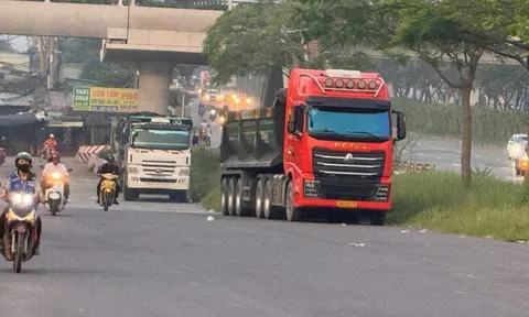 Đỗ xe "hổ vồ" gây bức xúc, nam tài xế ở TPHCM bị xử phạt