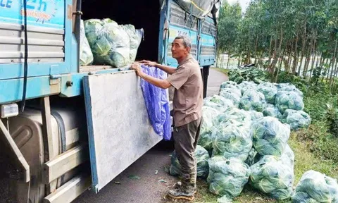 Kêu gọi ưu tiên hàng hóa, khuyến mãi cho vùng lũ: Dùng đồ ngon và đừng tăng giá quá đáng