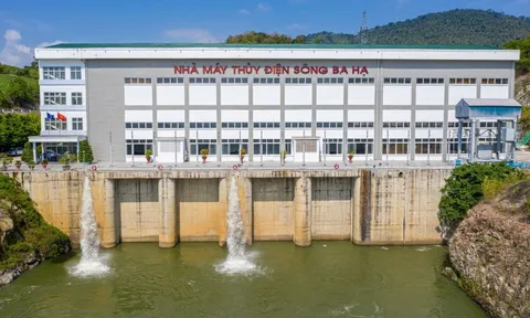 Những thông tin về quy mô và tình hình kinh doanh của thủy điện Sông Ba Hạ