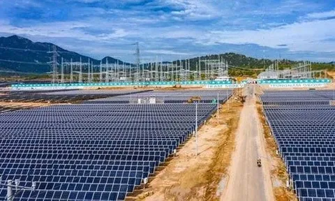 Điện Mặt trời Trung Nam mua lại trái phiếu trước hạn