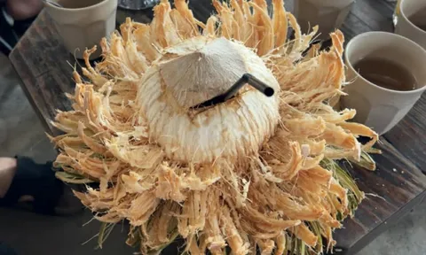 Thực hư 'dừa bất tử' 100.000 đồng ở TP.HCM