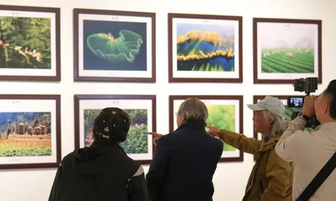 Vẻ đẹp Việt Nam và Indonesia qua nhiếp ảnh