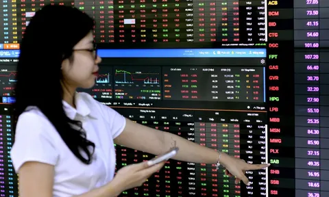 'Tân binh' tỉ USD ngành chứng khoán chào sàn lúc thị trường ảm đạm, bom tấn hay điều gì chờ đợi?