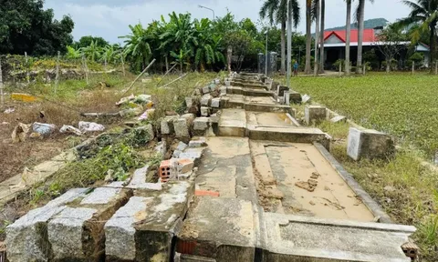 Kiểm tra tổng thể các di tích và bảo tàng ở vùng lũ, tránh tổn thất không thể phục hồi