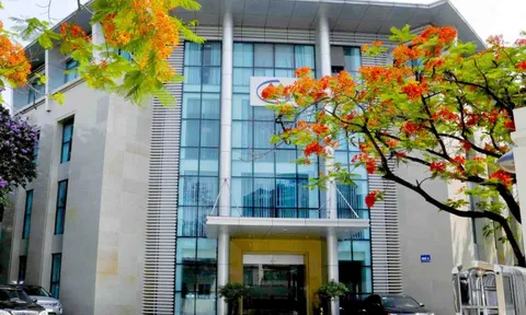 Doanh nghiệp khai thác vàng lớn nhất Việt Nam đối diện nguy cơ rời sàn chứng khoán