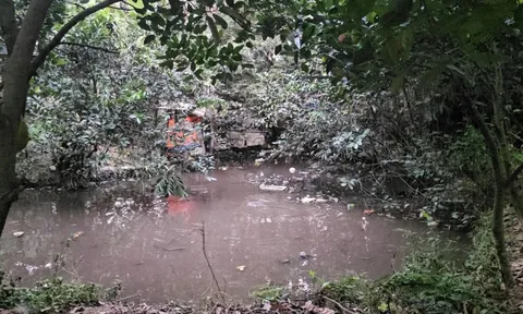 Thương tâm bé trai 5 tuổi ở TPHCM tử vong vì ao nước phía sau nhà trọ