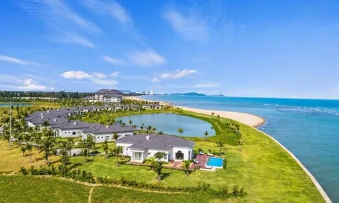 Vinpearl sáp nhập công ty con 1.000 tỷ đồng vào VinWonders Nha Trang sau chưa đầy 3 tháng thành lập