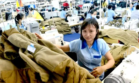 Ủy ban Chứng khoán đình chỉ kiểm toán viên ký báo cáo tài chính năm 2024 của Garmex Sài Gòn