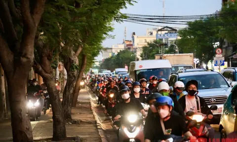 TPHCM chốt chủ trương nâng cấp đường Nguyễn Tất Thành, xây mới cầu Tân Thuận 1