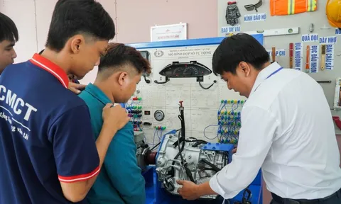 TPHCM dự kiến còn 19 trường cao đẳng và 2 trường trung cấp công lập