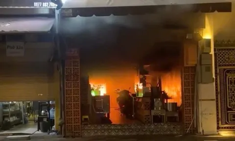Thông tin nổi bật tại TPHCM ngày 5-12: Điều tra vụ cháy ở phường Cầu Ông Lãnh; Nhật Kim Anh kêu cứu