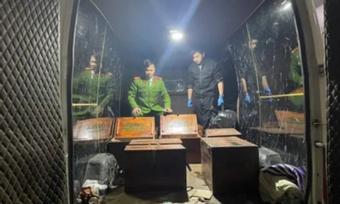 Cảnh sát phát hiện ô tô chở loài thú duy nhất trên thế giới có vảy cứng phủ cơ thể