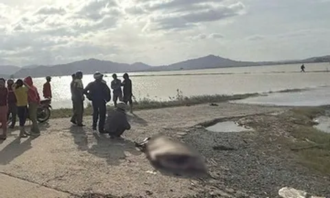 Mẹ lái xe máy chở con 6 tuổi rơi xuống nước, cả hai tử vong